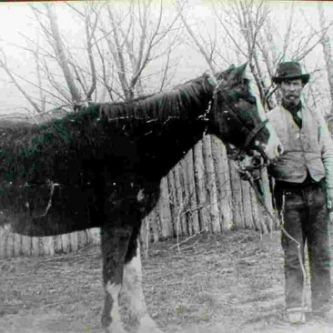 1_El caballo Malacara y el pionero John Evans-Gentileza Clery Evans, Museo Cartref Taid