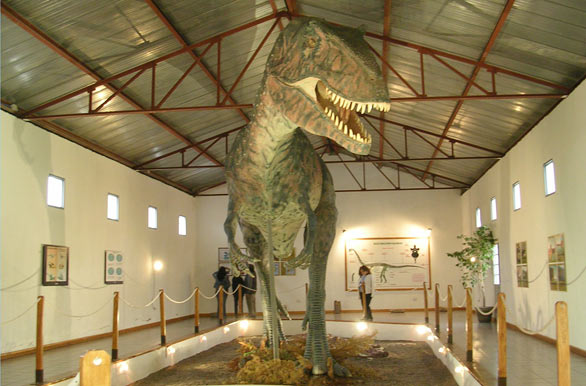 8_Gigantosaurus Carolini en el Museo de El Chocon