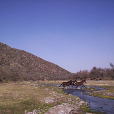 Valle Fertil