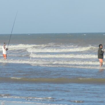 Cuatro hermanos y el arte de la pesca